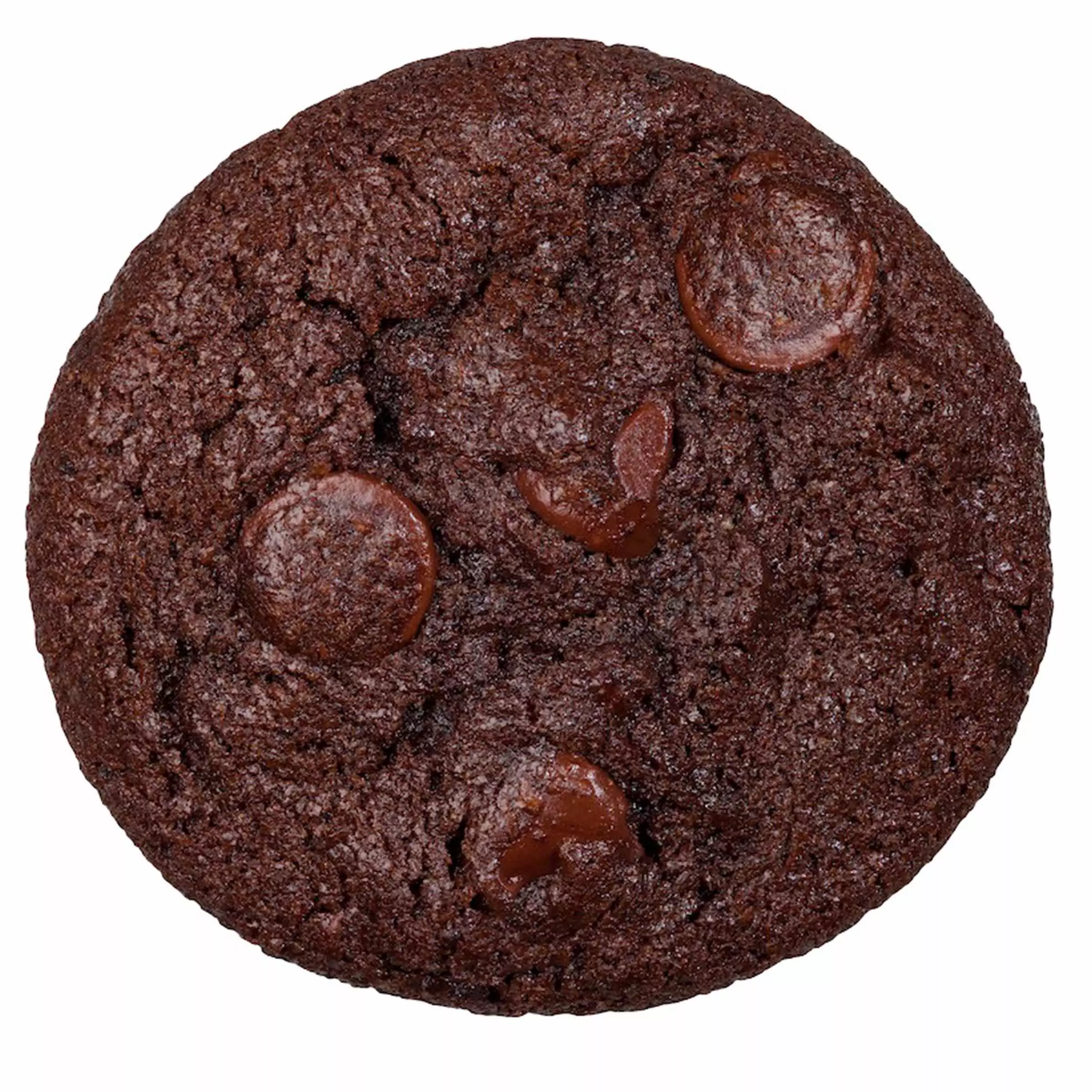 Double Chocolate Cookie 1 Double Chocolate Cookie