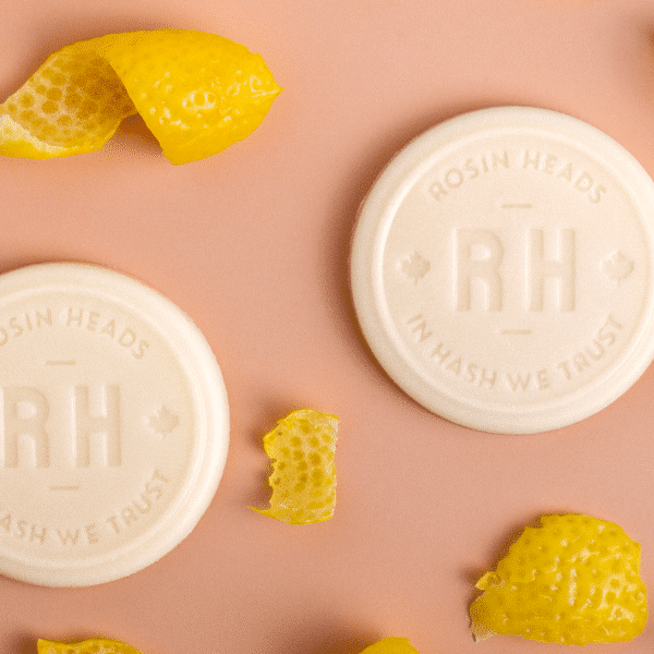 Pièce de Rosin - Yuzu et chocolat blanc 3 Pièce de Rosin - Yuzu et chocolat blanc – Image 3