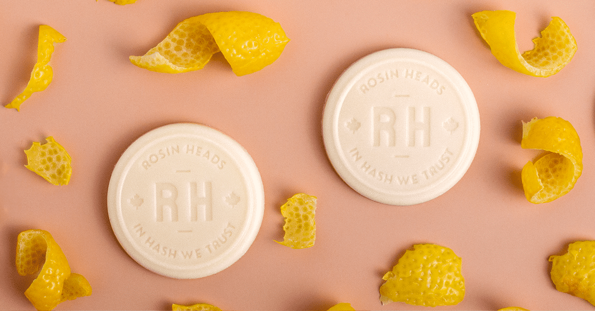 Pièce de Rosin - Yuzu et chocolat blanc 4 Pièce de Rosin - Yuzu et chocolat blanc – Image 4