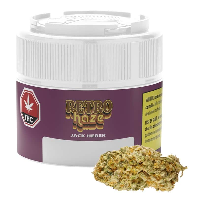 Jack Herer 3 Jack Herer – Image 3
