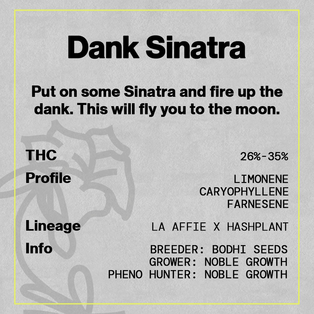 Dank Sinatra 3 Dank Sinatra – Image 3