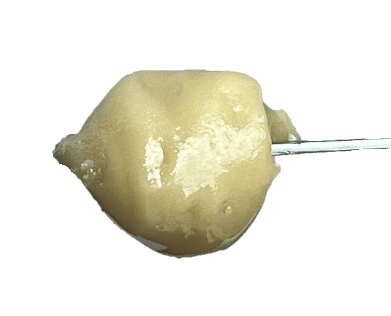 Hashplant Live Rosin 3 Hashplant Live Rosin – Image 3