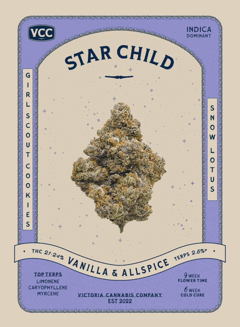 Star Child 2 Star Child – Image 2