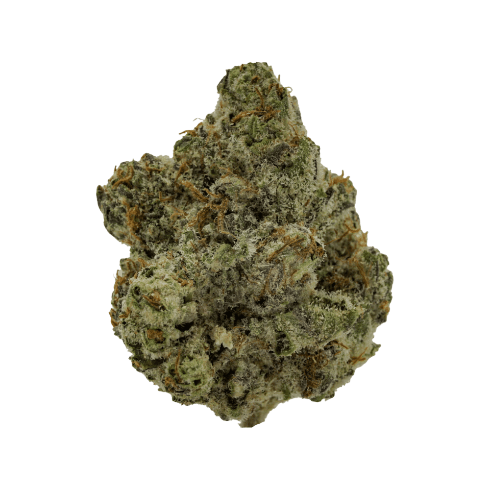 BC Island Gas (Grape Gasoline x Truffle) 1 BC Island Gas (Grape Gasoline x Truffle)