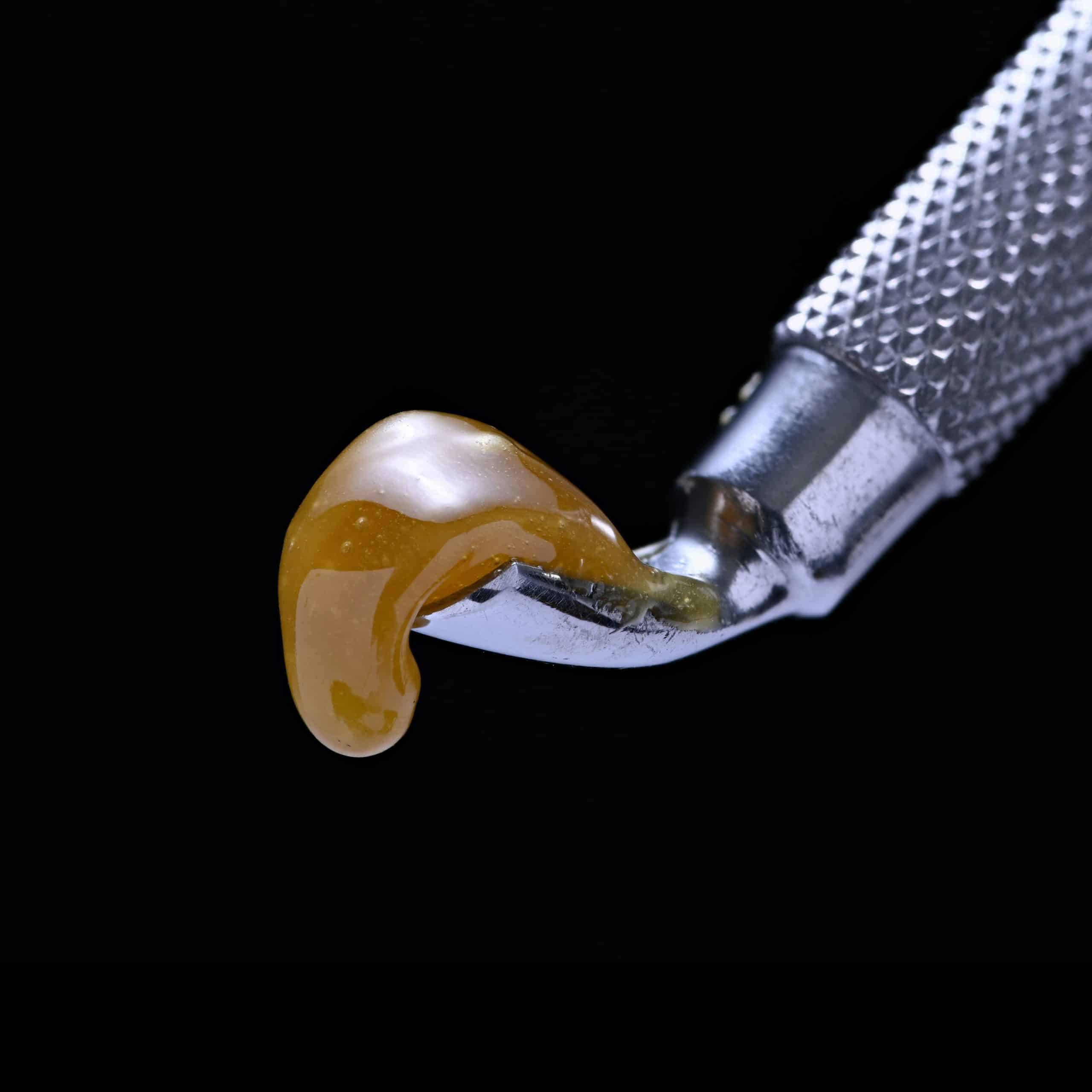 Barbara Bud Live Rosin 4 Barbara Bud Live Rosin – Image 4