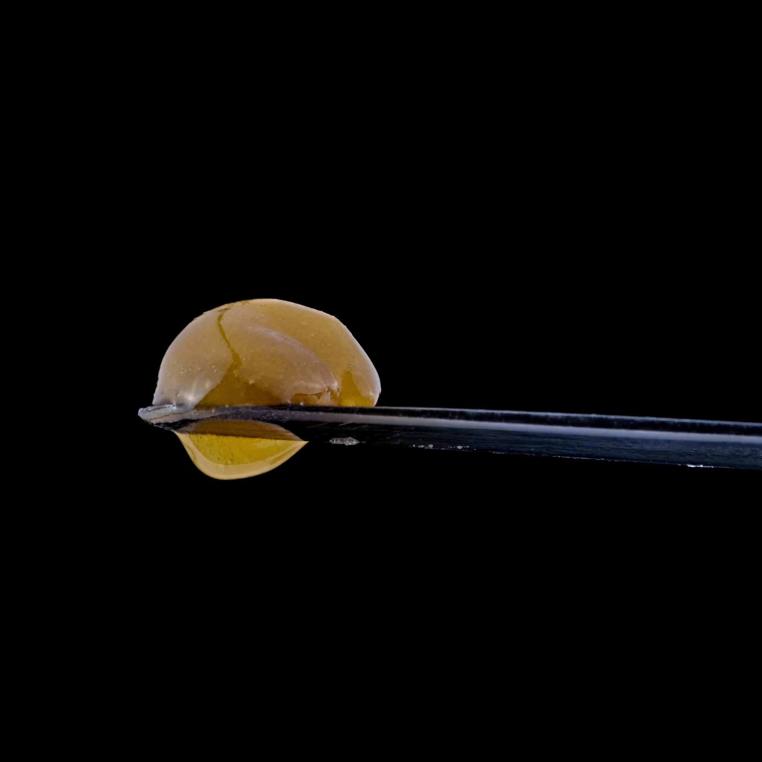 Barbara Bud Live Rosin 6 Barbara Bud Live Rosin – Image 6