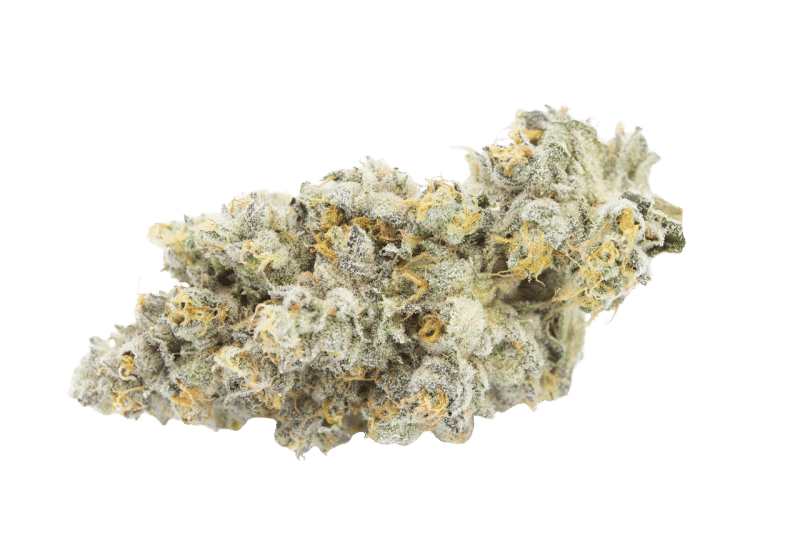 Beach Wedding (Tropicanna Cookies x Wedding Cake) 2 Beach Wedding (Tropicanna Cookies x Wedding Cake) – Image 2