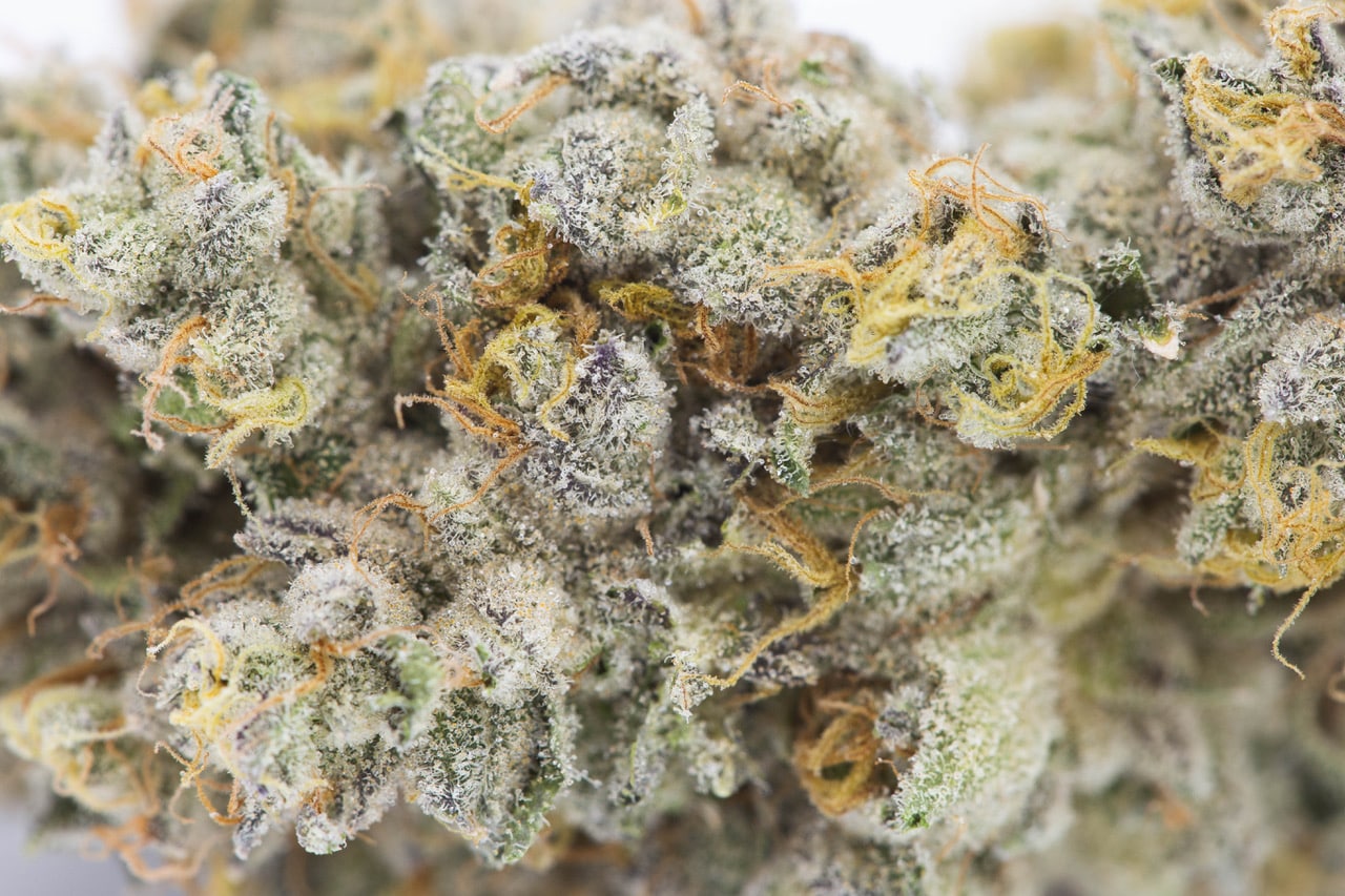 Beach Wedding (Tropicanna Cookies x Wedding Cake) 3 Beach Wedding (Tropicanna Cookies x Wedding Cake) – Image 3