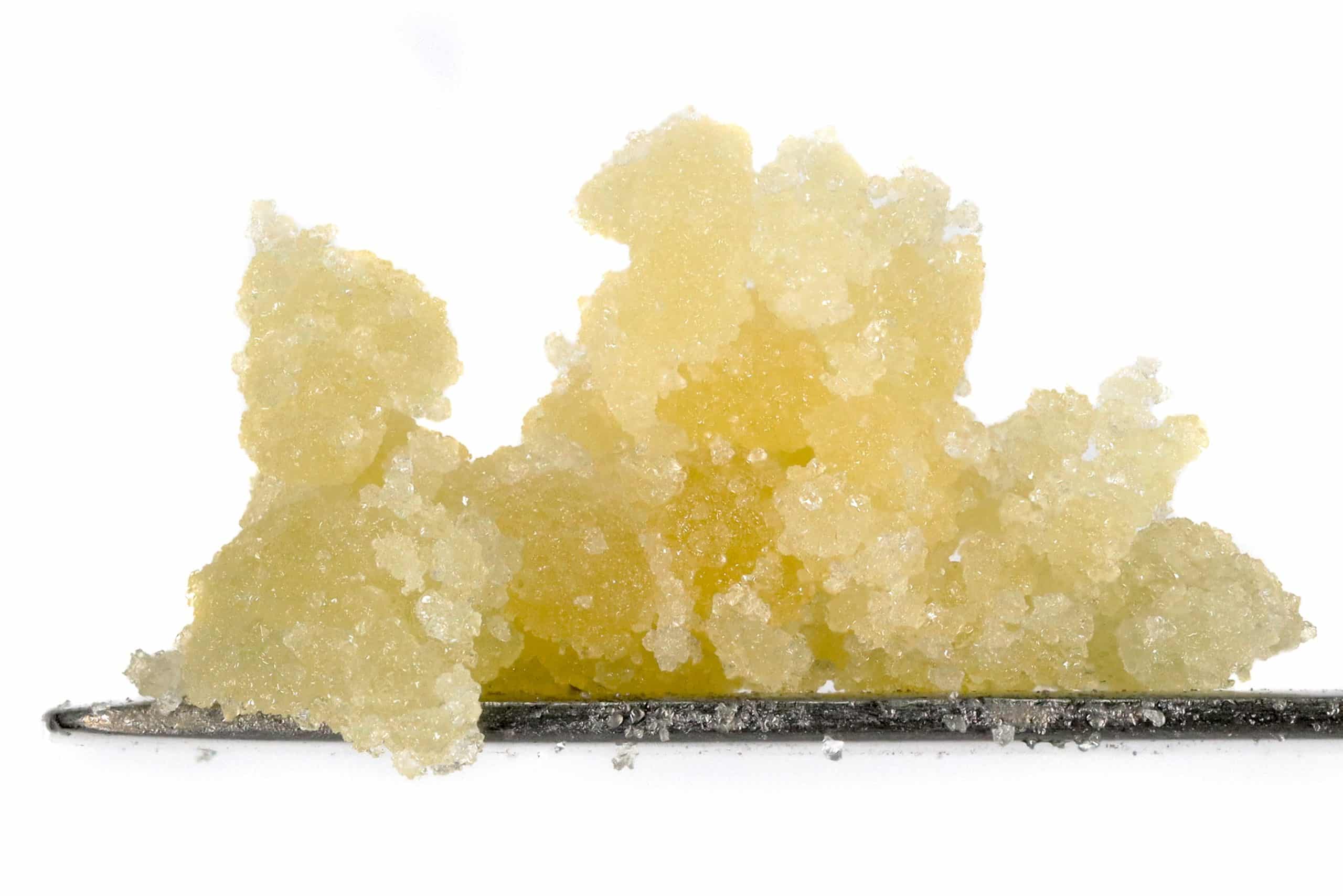 Black Gas Indica HCFSE 1 Black Gas Indica HCFSE