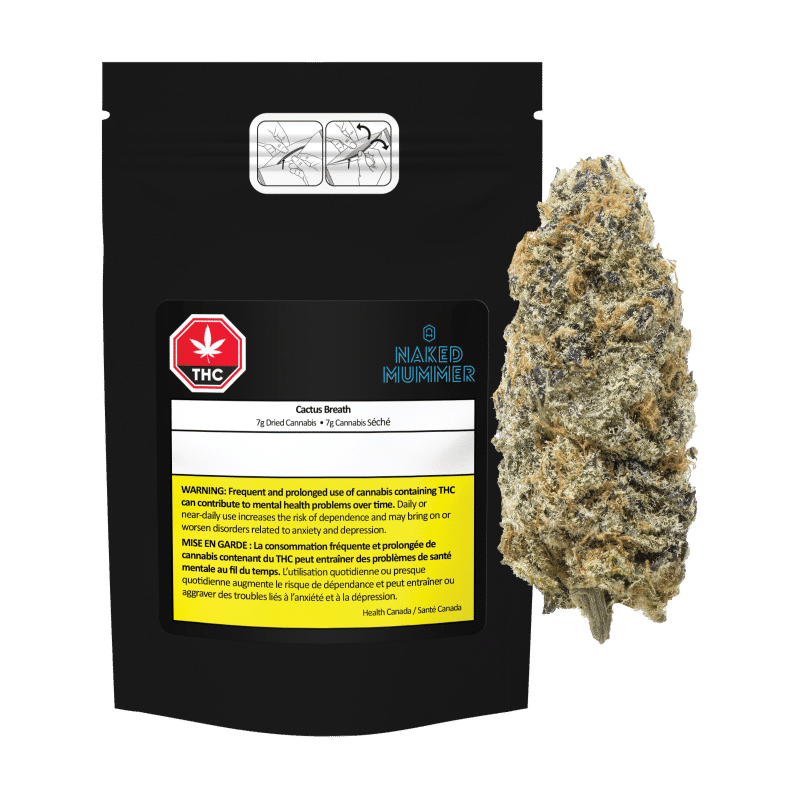 Cactus Breath 2 Cactus Breath – Image 2