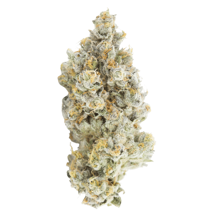 Beach Wedding (Tropicanna Cookies x Wedding Cake) 1 Beach Wedding (Tropicanna Cookies x Wedding Cake)