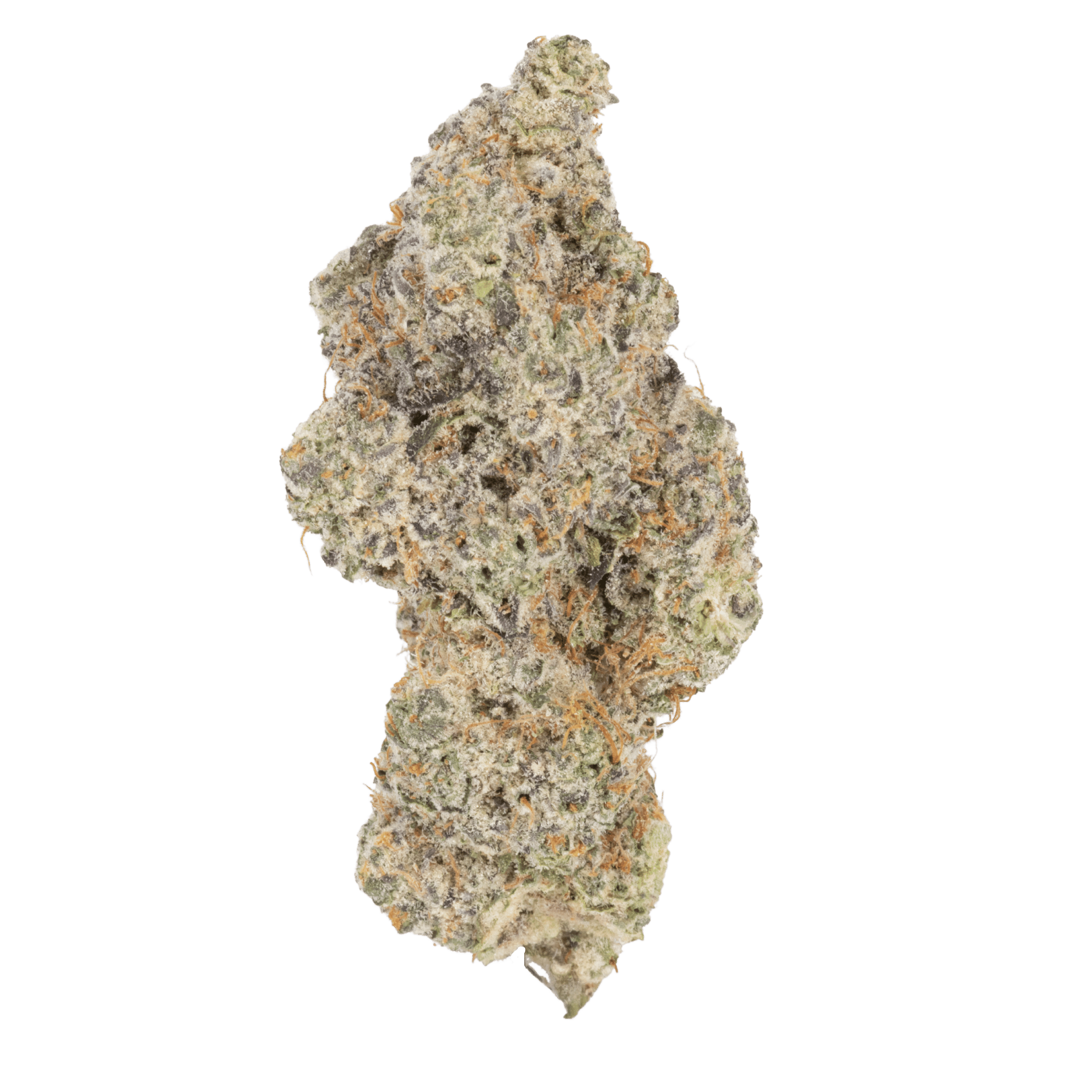 Gas Face (Gellati x Ice Cream Cake) 1 Gas Face (Gellati x Ice Cream Cake)