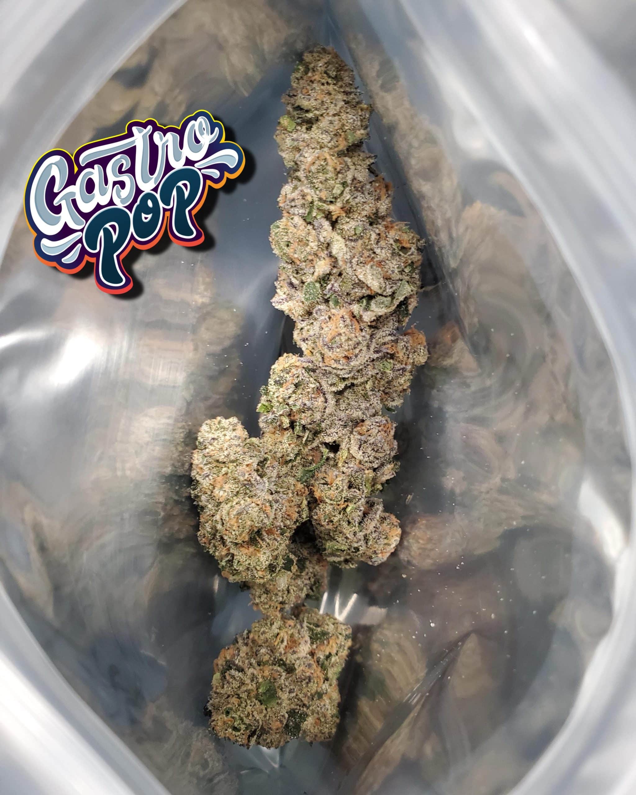 Gastro Pop (Apples & Bananas x Grape Gas) 6 Gastro Pop (Apples & Bananas x Grape Gas) – Image 6