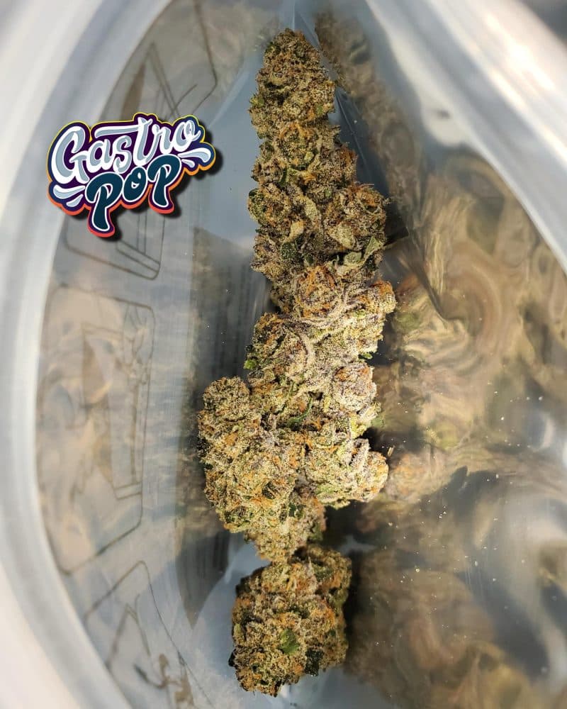 Gastro Pop (Apples & Bananas x Grape Gas) 5 Gastro Pop (Apples & Bananas x Grape Gas) – Image 5
