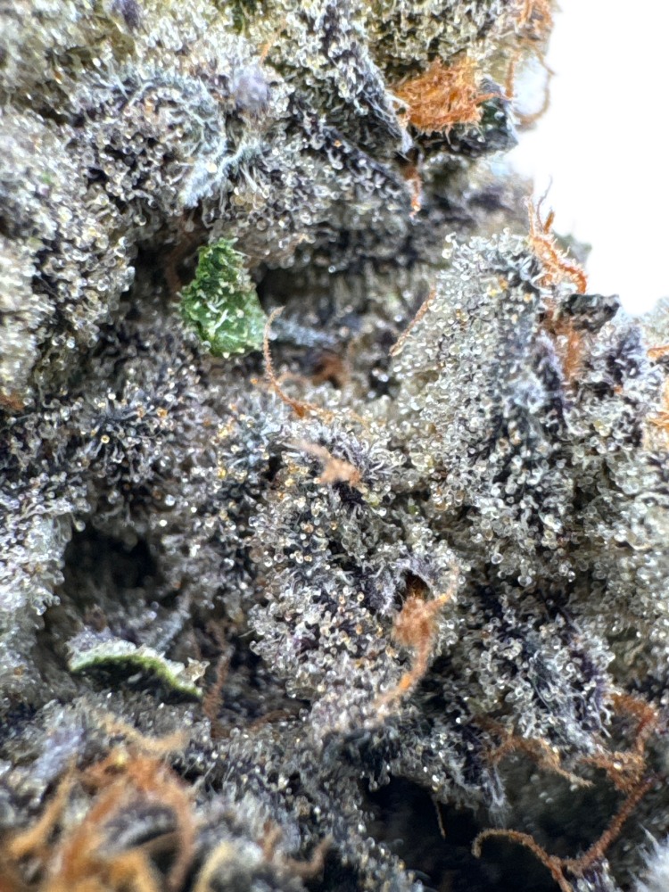 Gastro Pop (Apples & Bananas x Grape Gas) 3 Gastro Pop (Apples & Bananas x Grape Gas) – Image 3