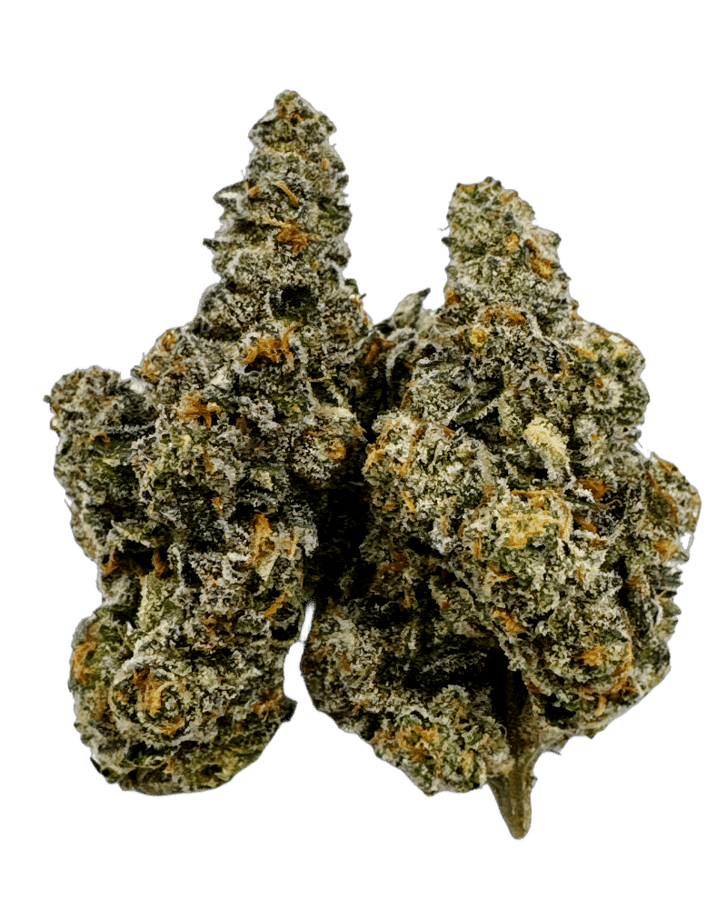 Gastro Pop (Apples & Bananas x Grape Gas) 2 Gastro Pop (Apples & Bananas x Grape Gas) – Image 2