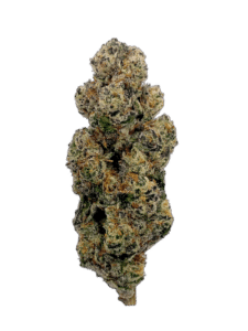 Grape Stank cannabis dried flower from Ostara Medical