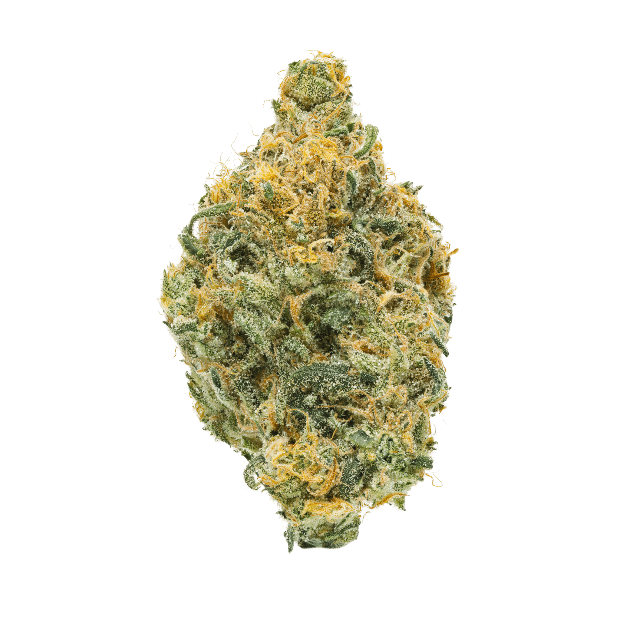 BC Organic Girl Scout Platinum 1 BC Organic Girl Scout Platinum