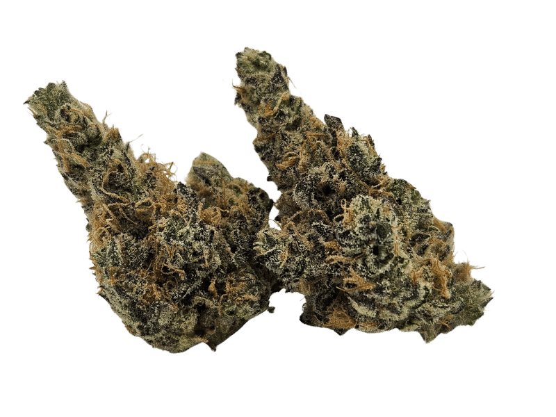 Governmint Oasis (GMO x Gush Mints) 2 Governmint Oasis (GMO x Gush Mints) - Image 2