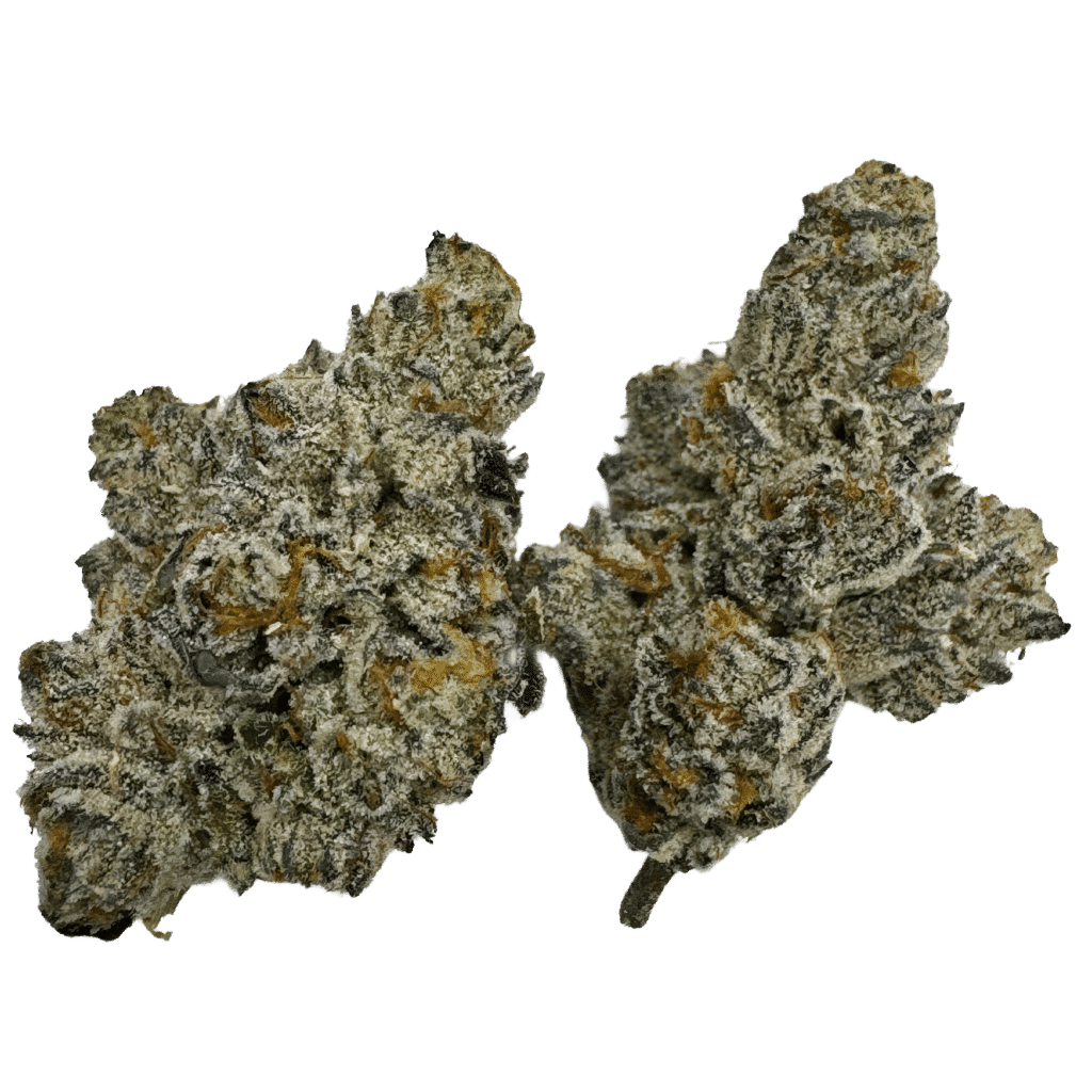 JET FUEL