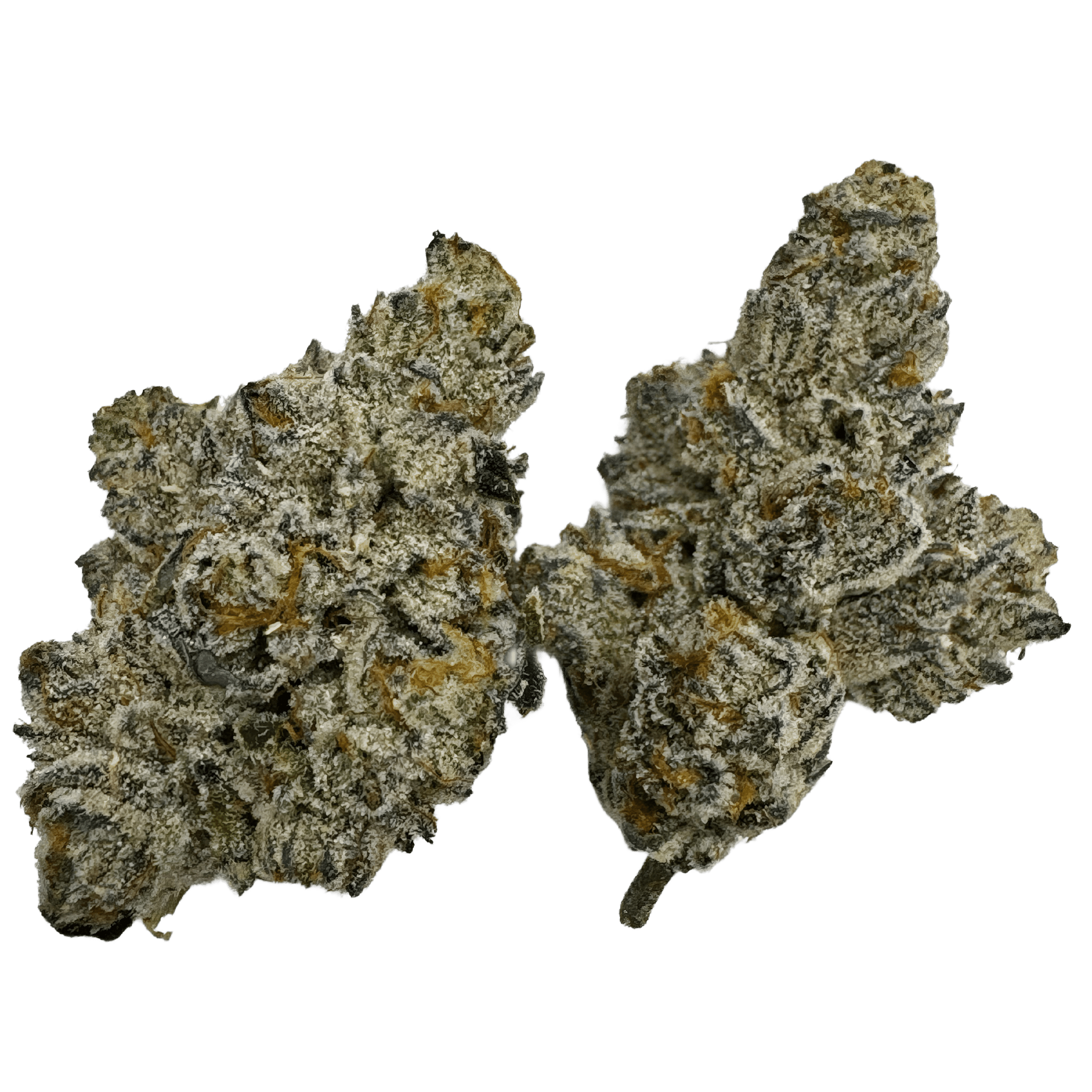 Jet Fuel Smalls 1 Jet Fuel Smalls