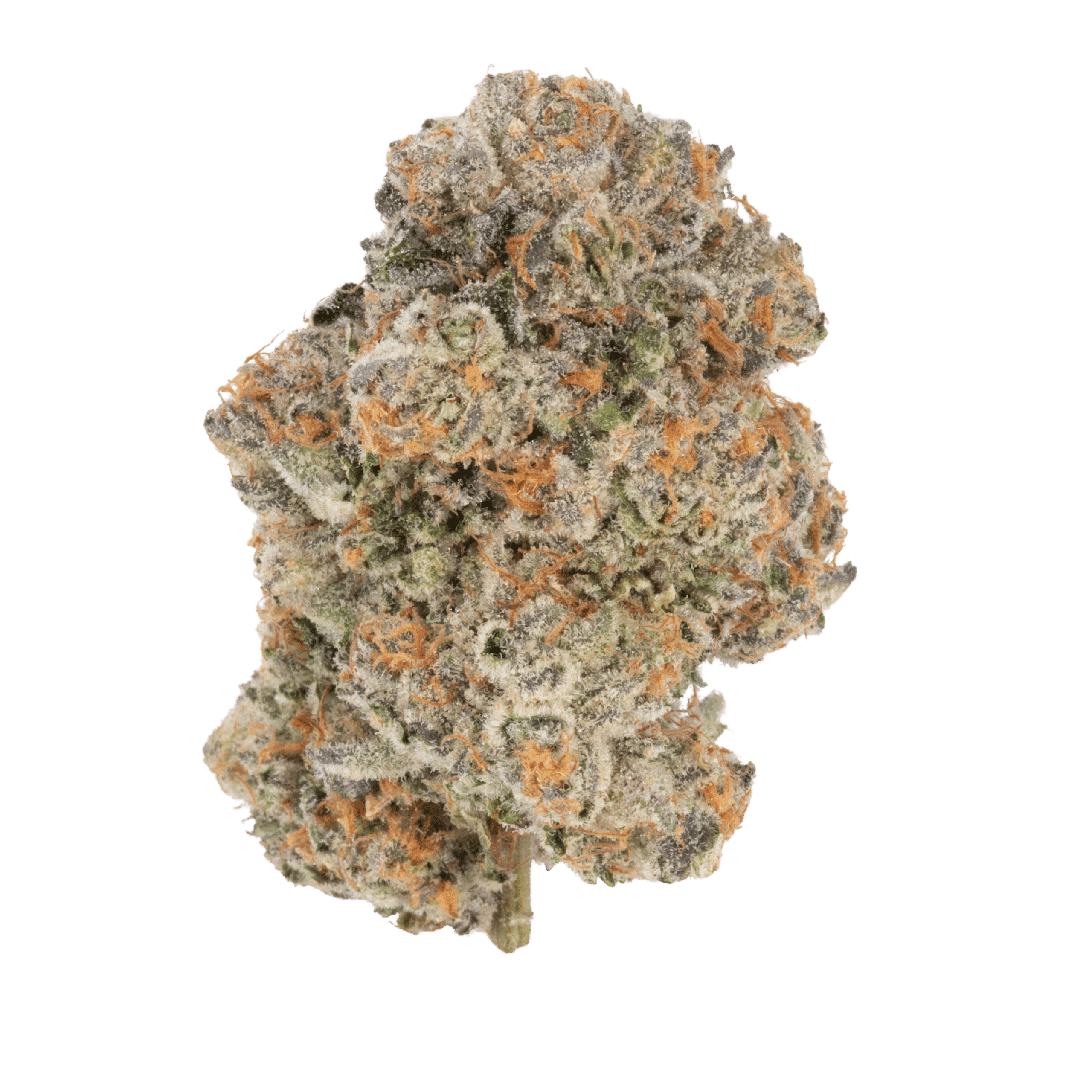 Jungle Fire (Jungle Cake X Jungle Mints) 1 Jungle Fire (Jungle Cake X Jungle Mints)