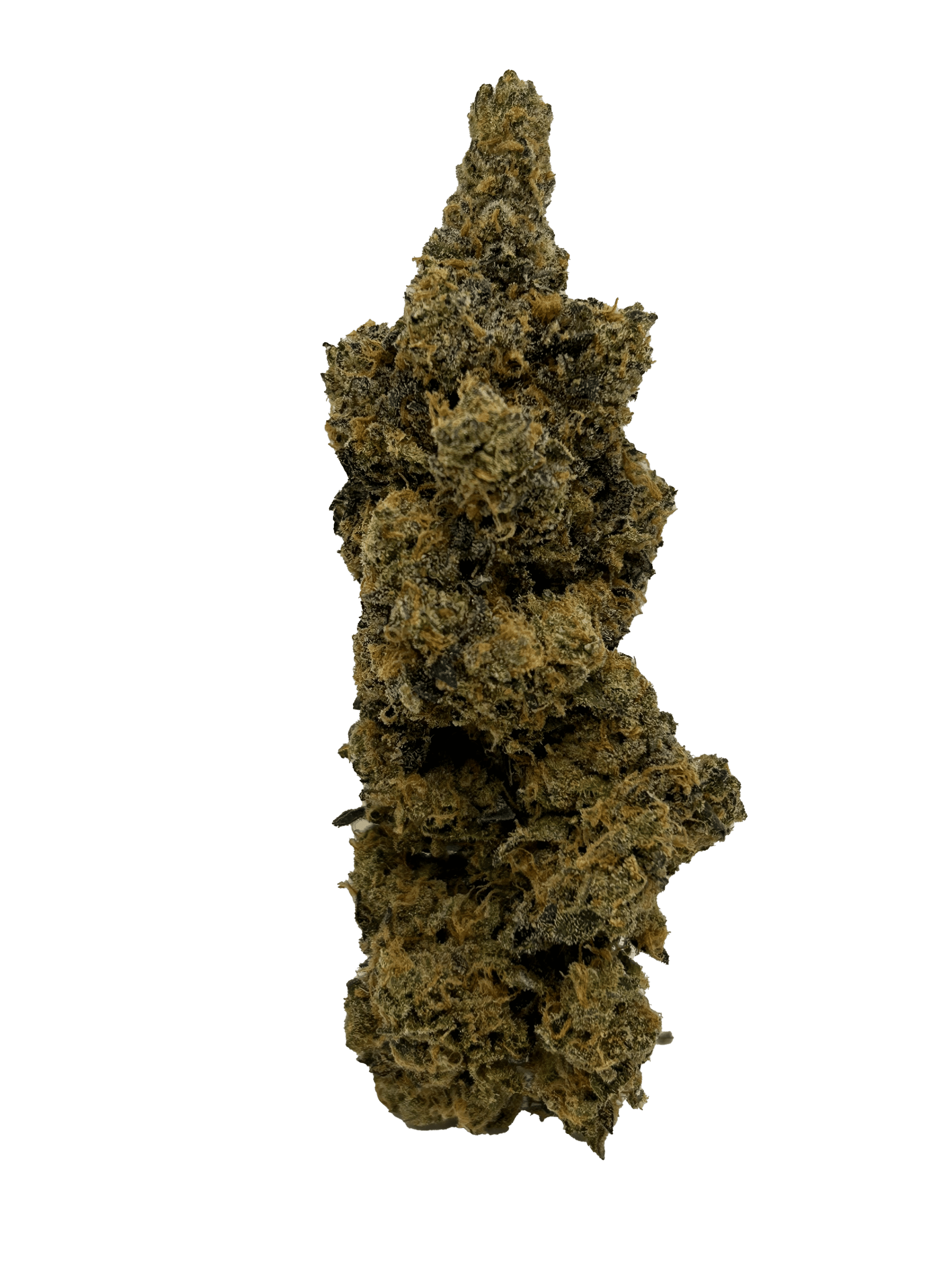 Regal Craft – (Jealousy x Banana Cream Cake) 1 Regal Craft – (Jealousy x Banana Cream Cake)