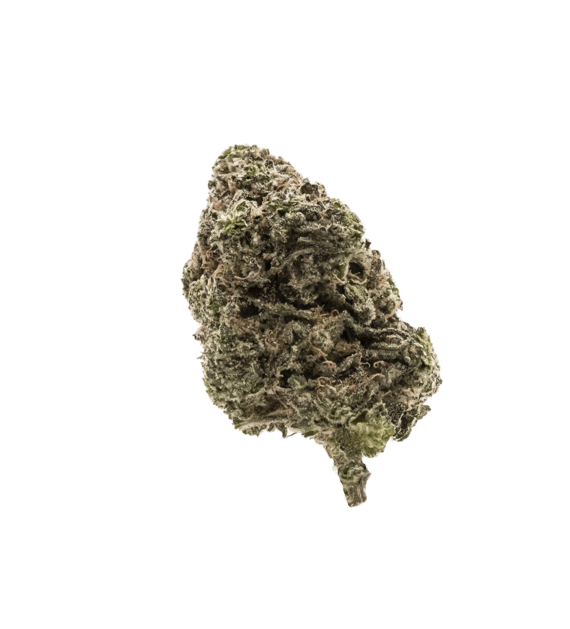 Jungle Fumes (Sour Diesel x Chemdawg x Lemon OG) 1 Jungle Fumes (Sour Diesel x Chemdawg x Lemon OG)