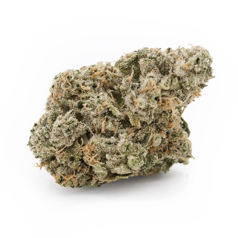 Lemon Sour Diesel 1 Lemon Sour Diesel