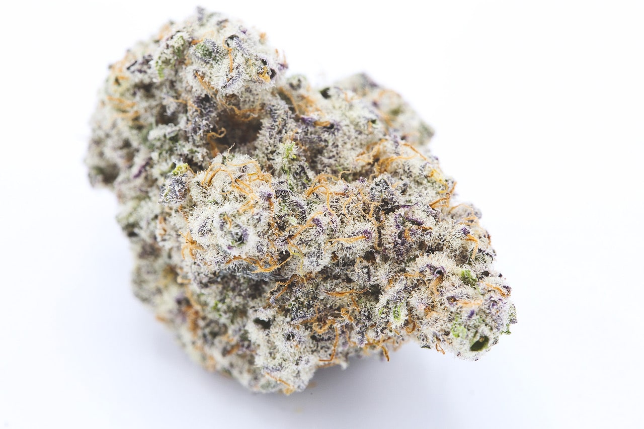 MAC-1 (Miracle Alien Cookies) 3 MAC-1 (Miracle Alien Cookies) – Image 3