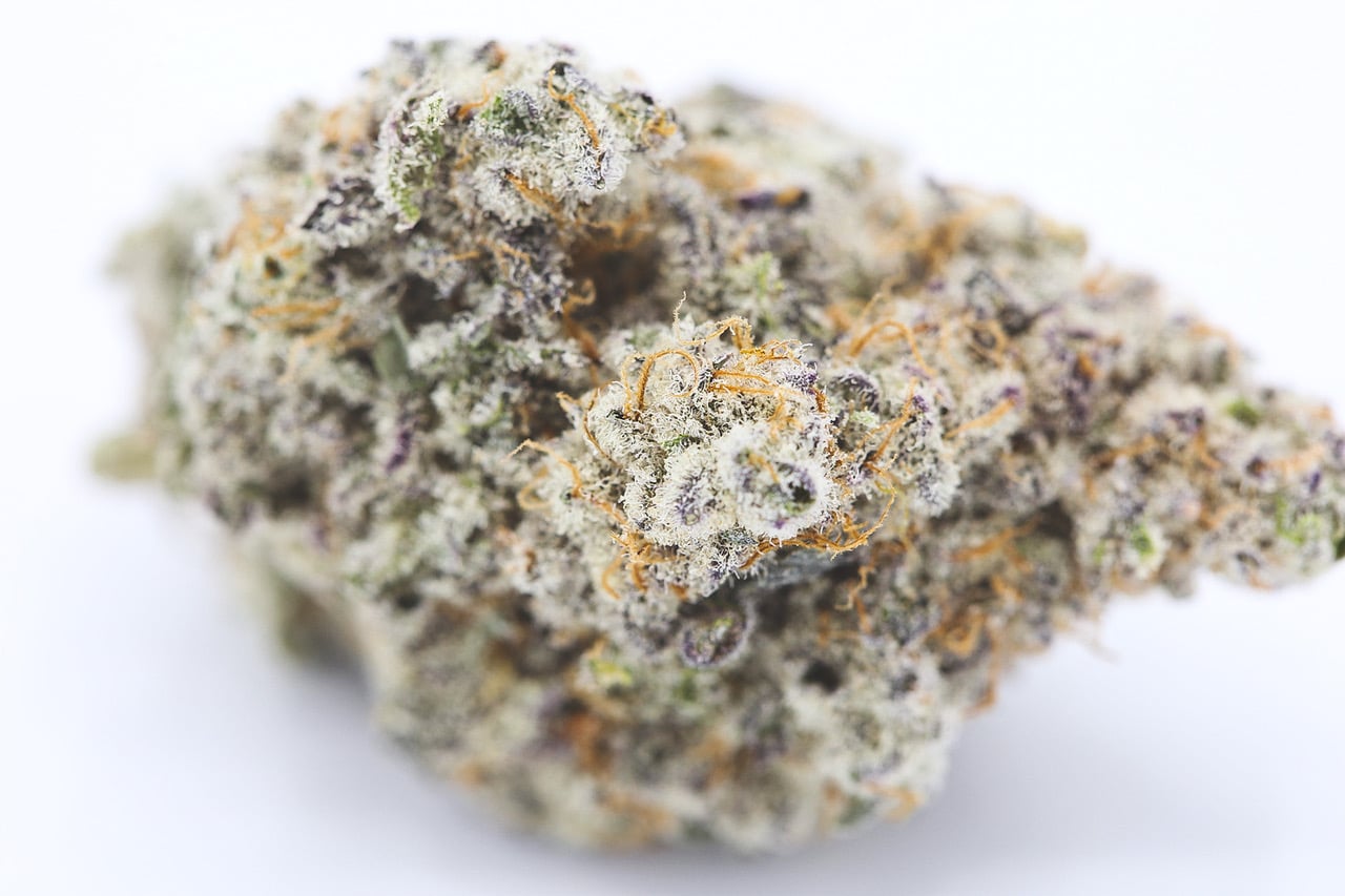 MAC-1 (Miracle Alien Cookies) 2 MAC-1 (Miracle Alien Cookies) – Image 2