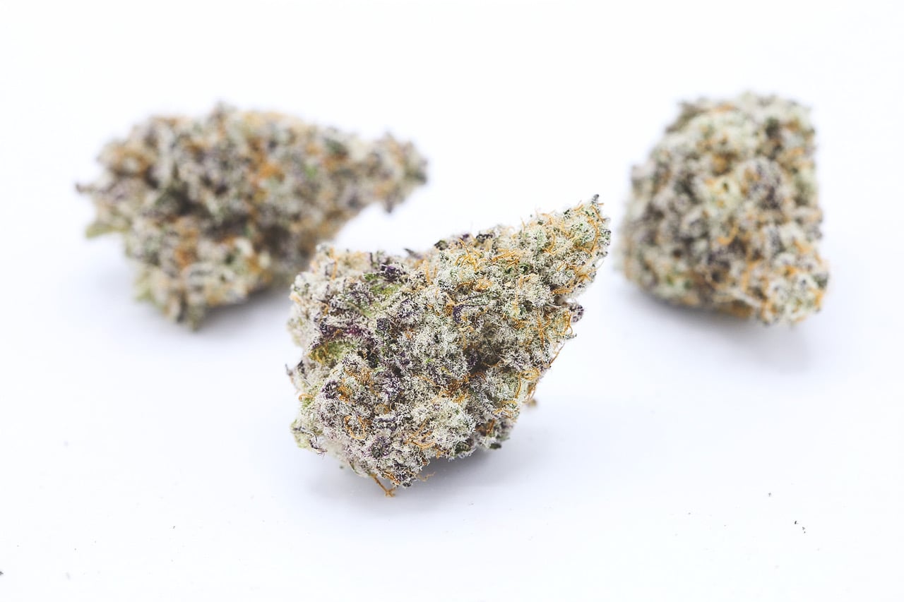 MAC-1 (Miracle Alien Cookies) 5 MAC-1 (Miracle Alien Cookies) – Image 5