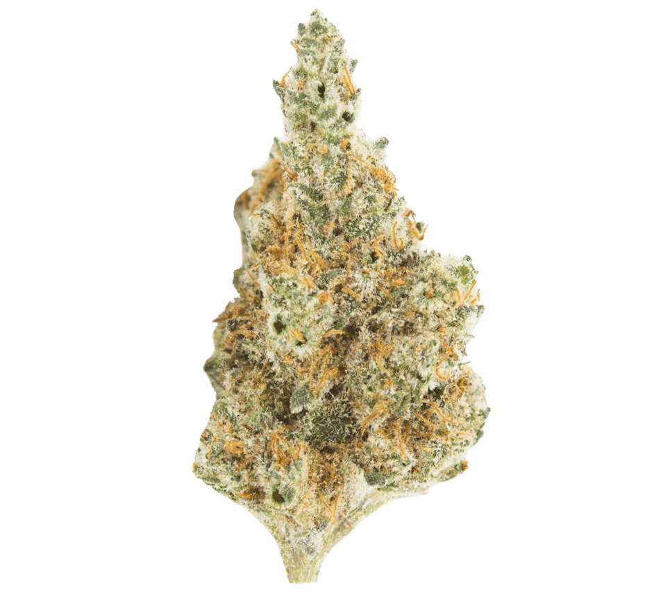MANGO MINT FRONT
