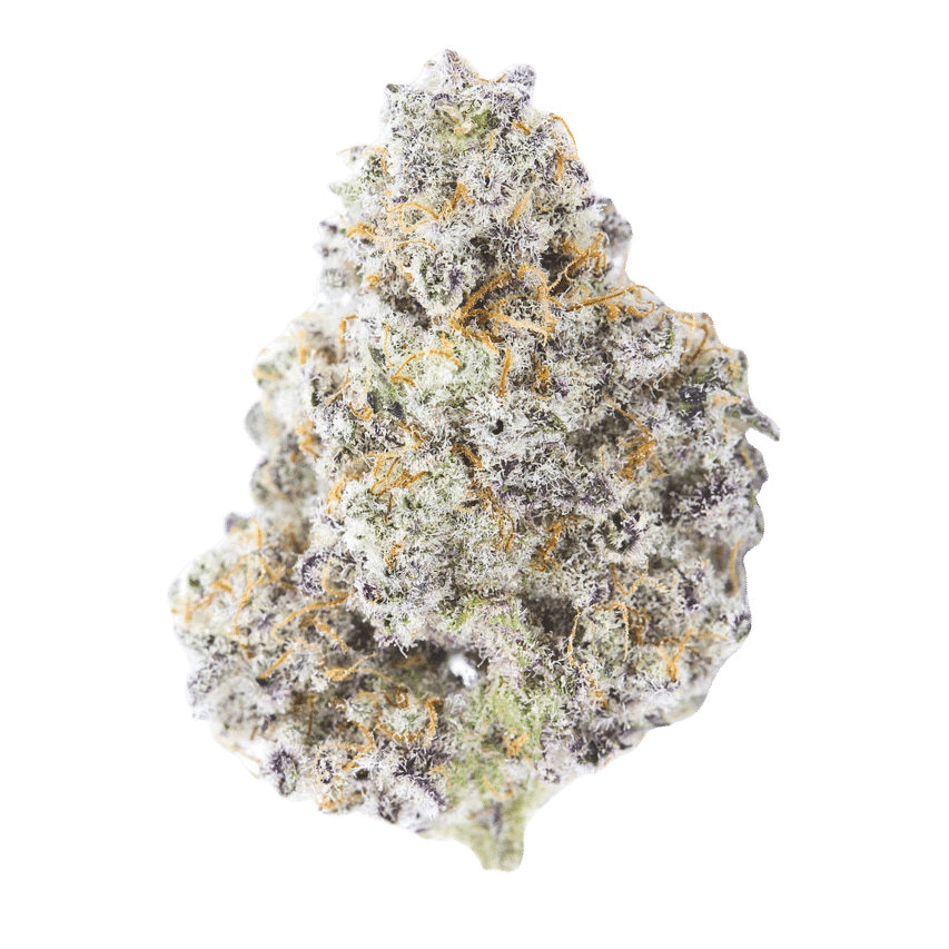 MAC-1 (Miracle Alien Cookies) 1 MAC-1 (Miracle Alien Cookies)