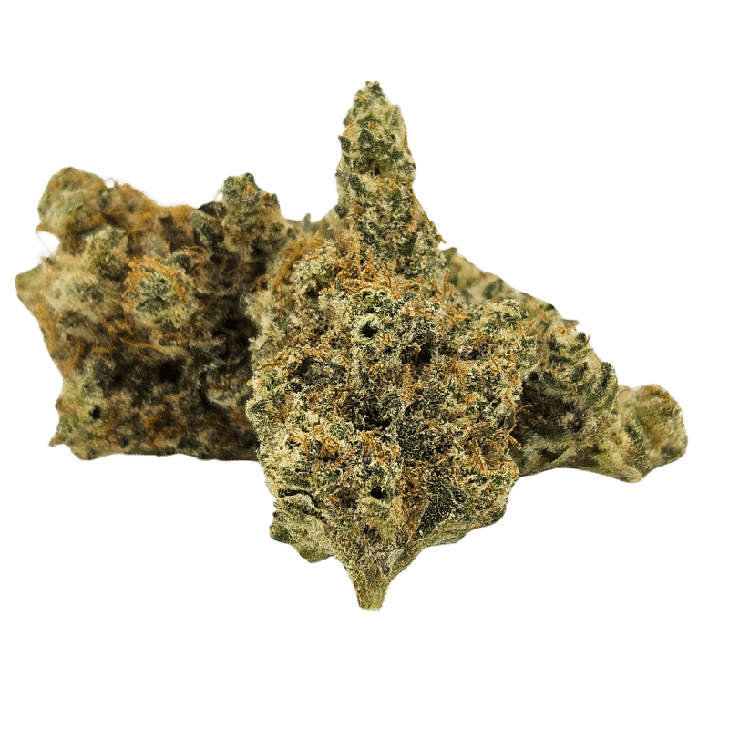 Mango Mintality (Mango Haze X Gush Mints) 2 Mango Mintality (Mango Haze X Gush Mints) - Image 2