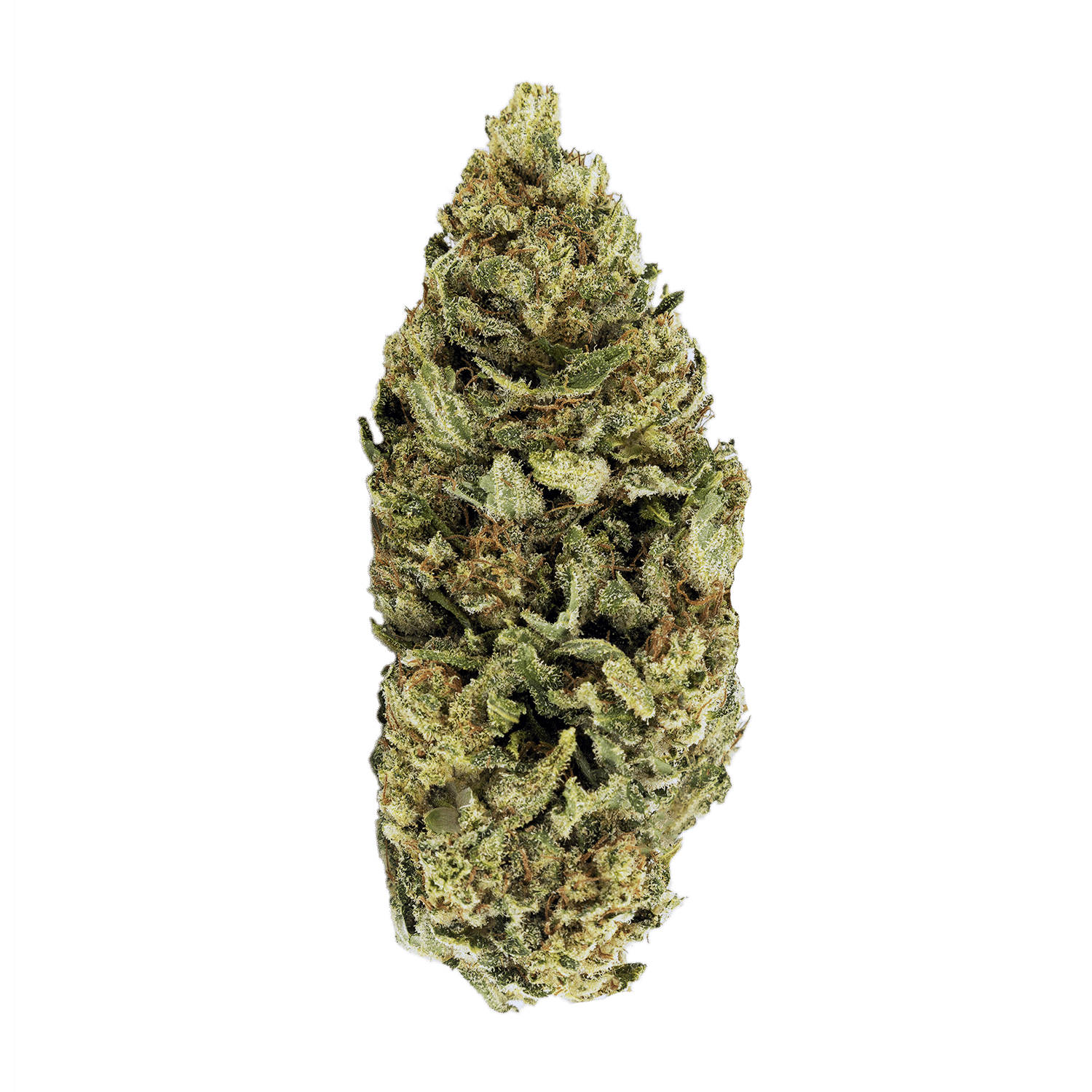 Nostalgia Craft Hemp 1 Nostalgia Craft Hemp