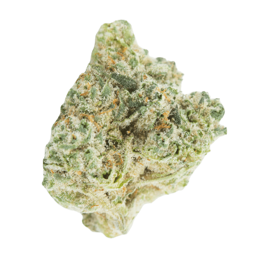 Papaya Bomb 2