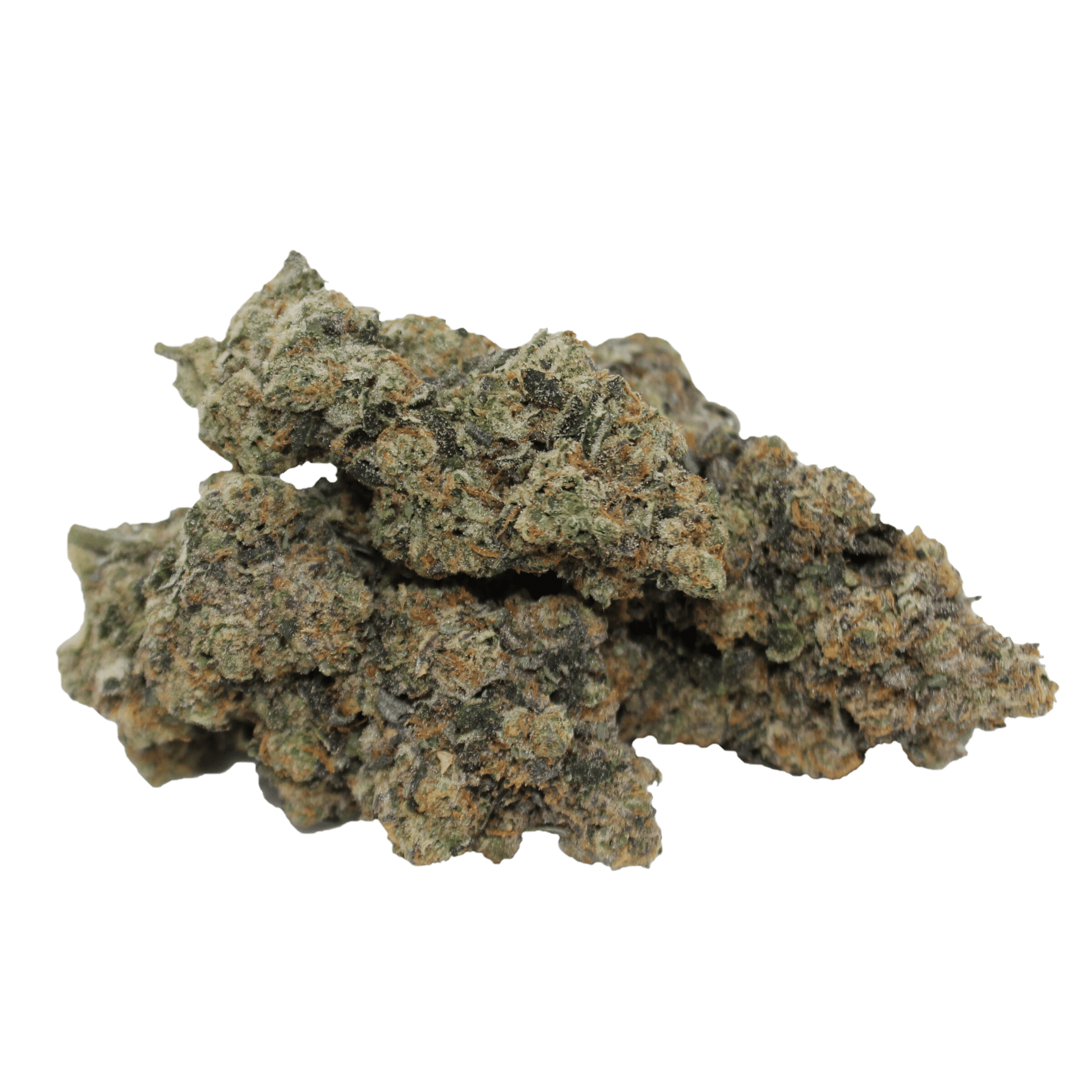 Pink Rockstar 1 Pink Rockstar