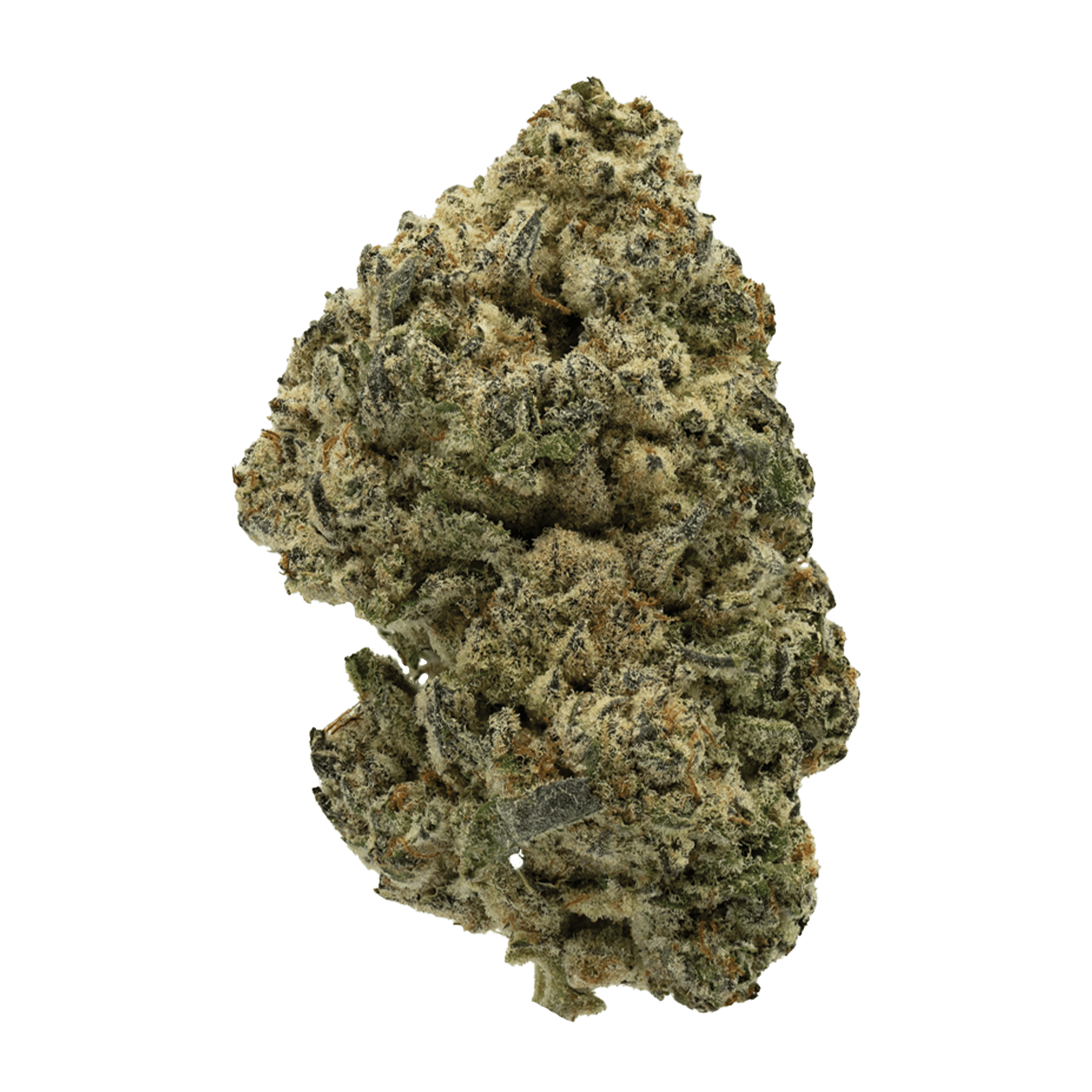 Tommy’s Choice – Tropicanna Cookies x Wedding Cake 1 Tommy’s Choice – Tropicanna Cookies x Wedding Cake