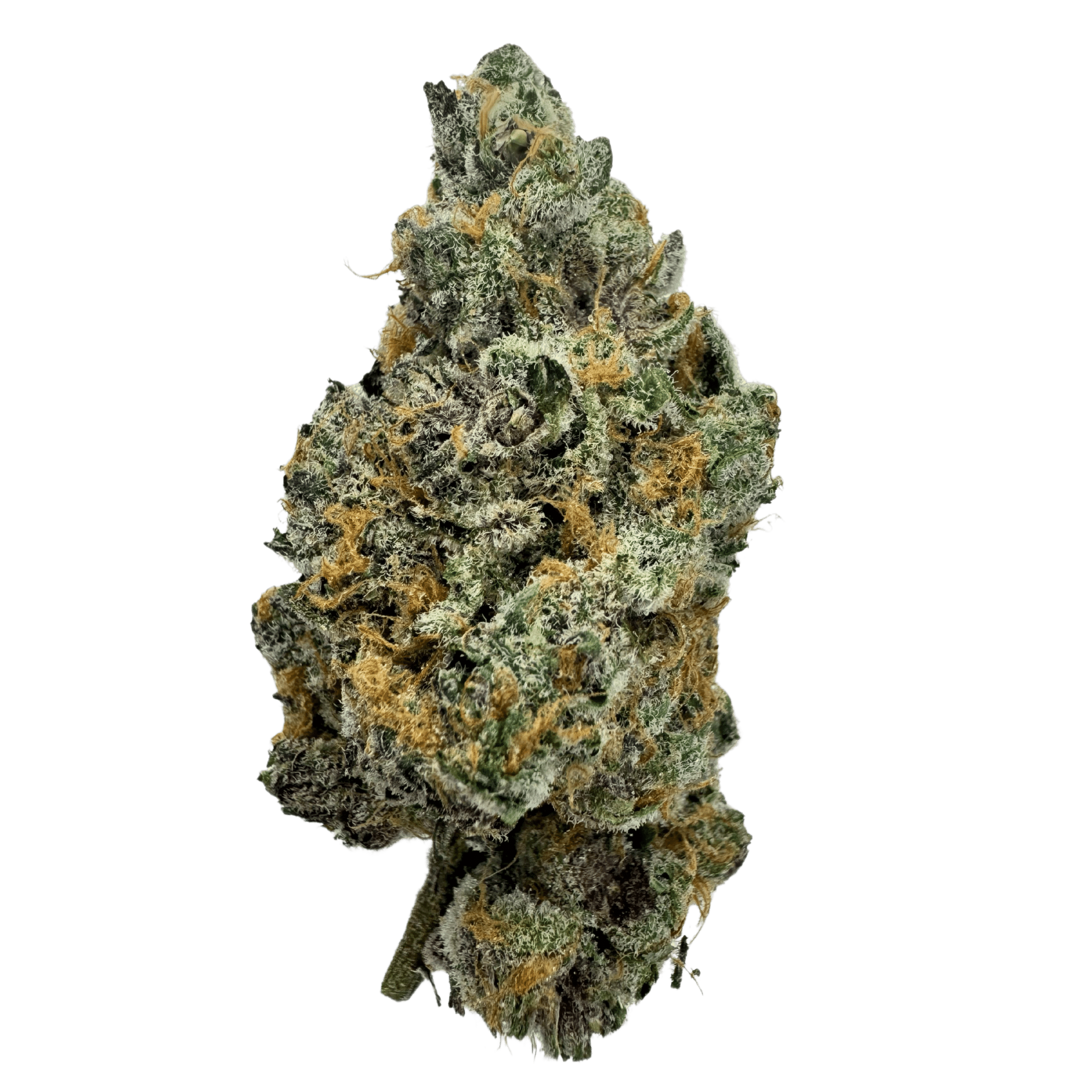 New Medical Cannabis Products at Mendo: March 18th 2026 11 Superboof dried cannabis flower from Truro