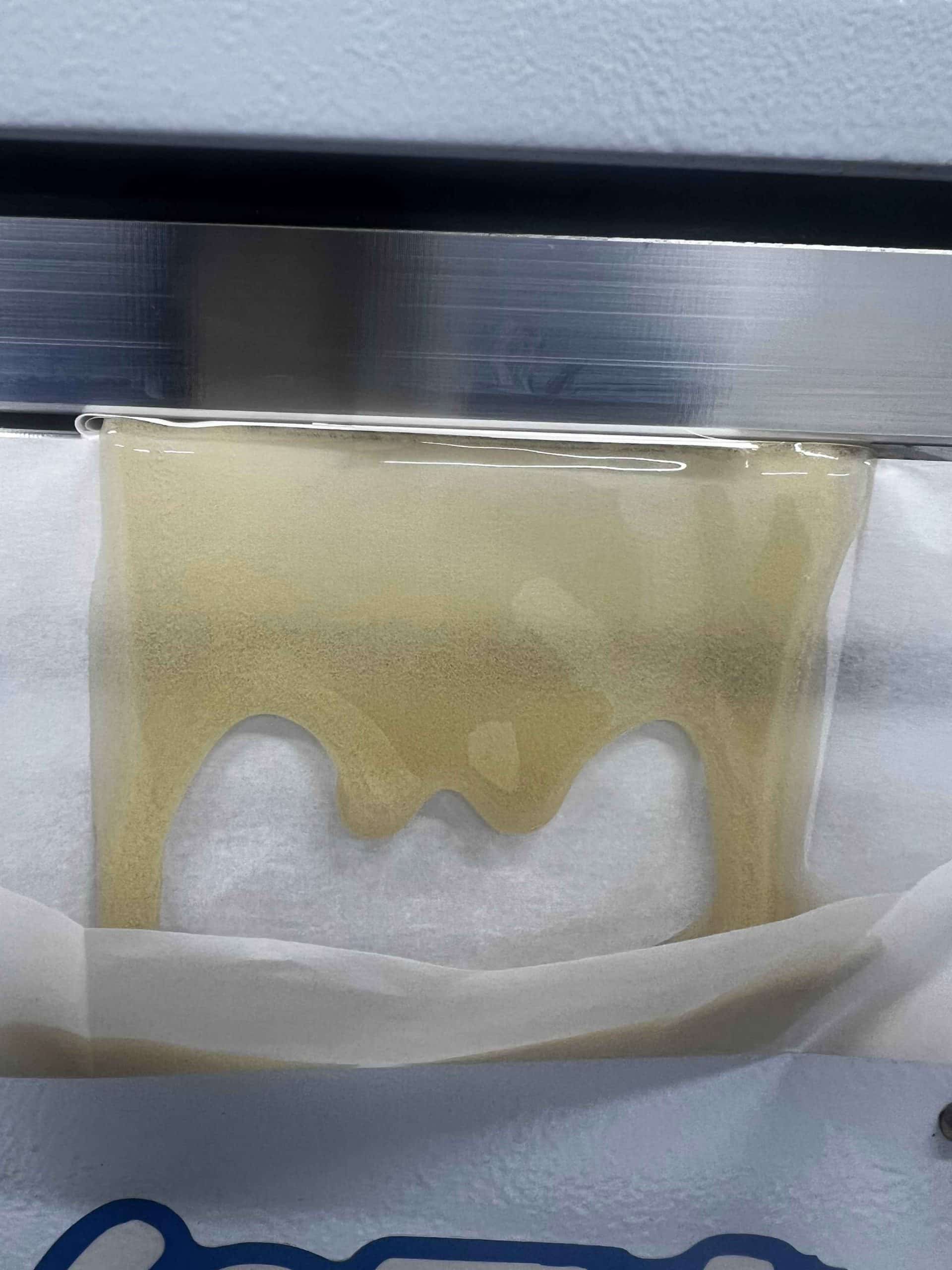 Drop Culture - Grape Gas Live Rosin 4 Drop Culture - Grape Gas Live Rosin - Image 4