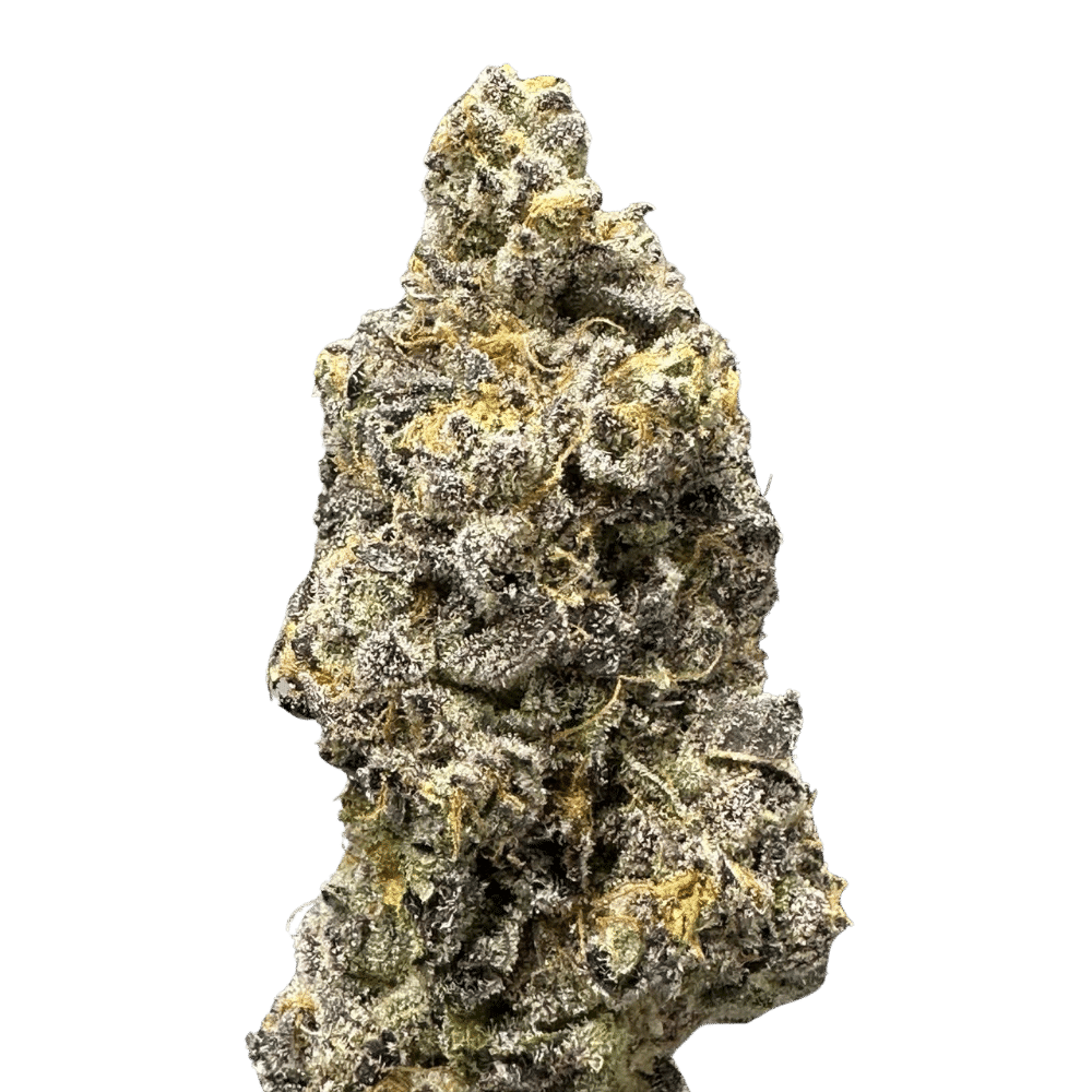 Glitzberry 6 Glitzberry – Image 6