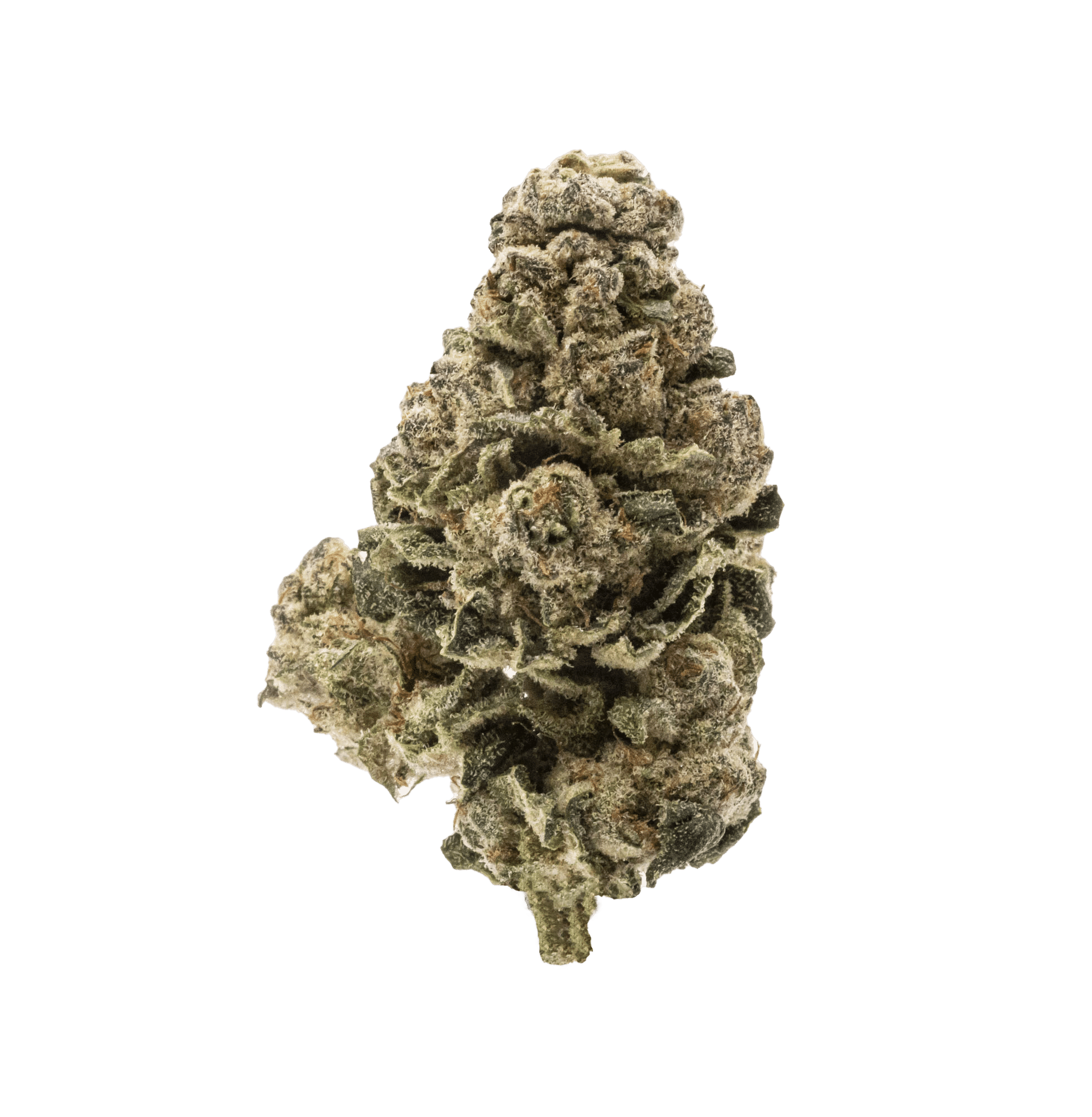 Black Cherry Punch Pre-rolls 2 Black Cherry Punch Pre-rolls – Image 2