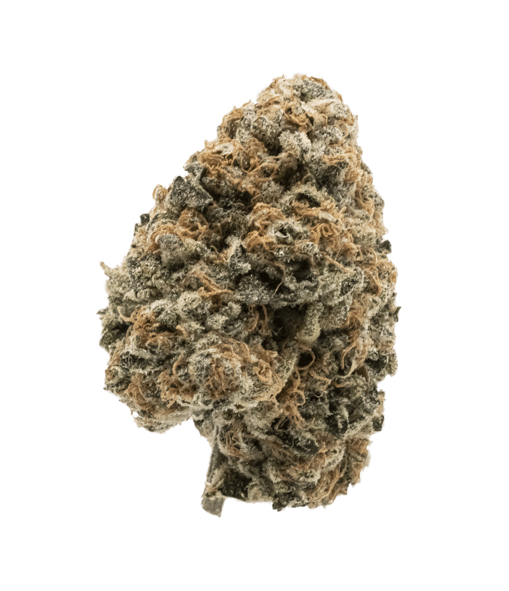 Sour OG Cheese Pre-rolls 2 Sour OG Cheese Pre-rolls – Image 2