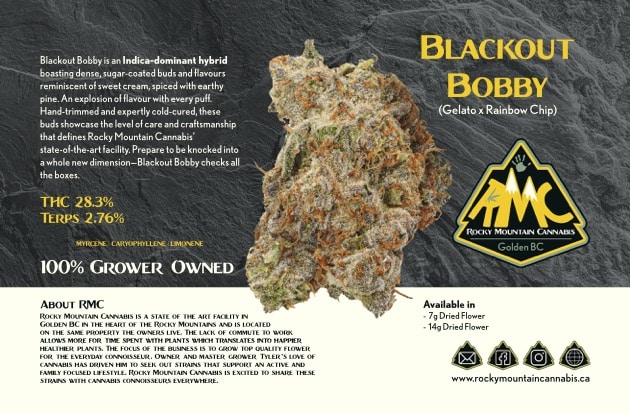 Blackout Bobby 3 Blackout Bobby - Image 3