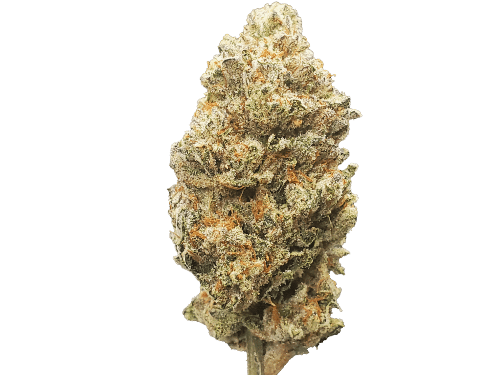 Blueberry Shizzle 7 b Papa Joes