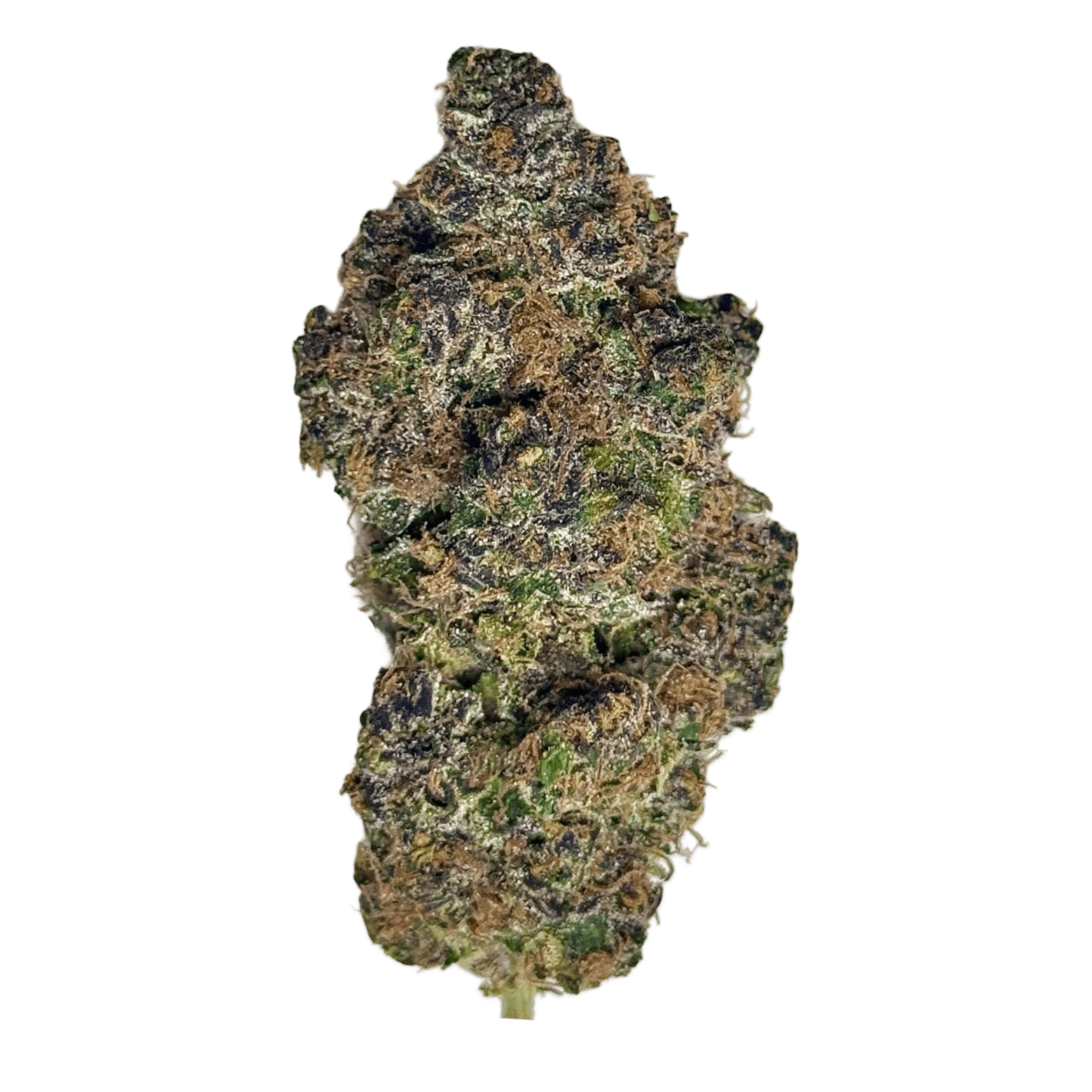 plush candy gas 7g cannabis flower