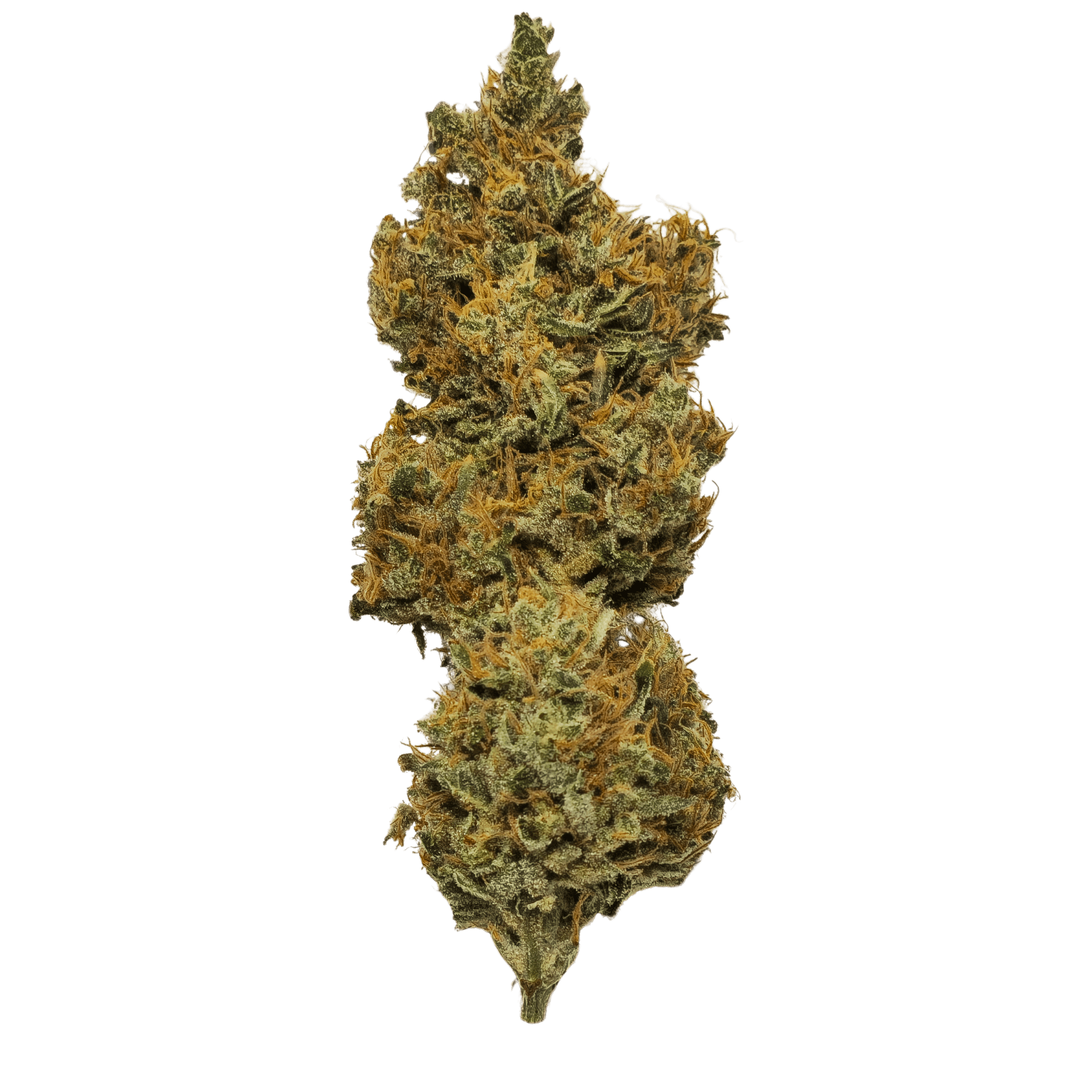 Durban Poison Pre-rolls 2 Durban Poison Pre-rolls - Image 2