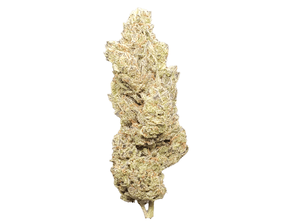 Purple Truffle b Papa Joes 1