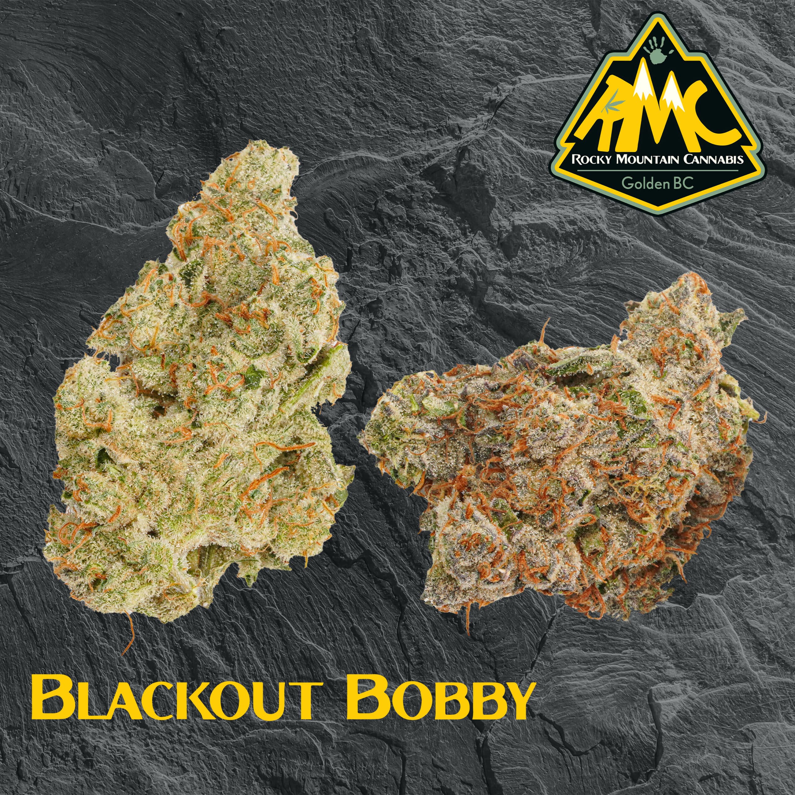 Blackout Bobby 5 Blackout Bobby - Image 5
